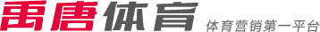 涯的发展至